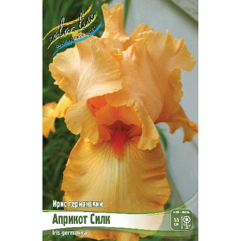 Ирис Германский Априкот Силк I 25 шт Биг-пак 9329