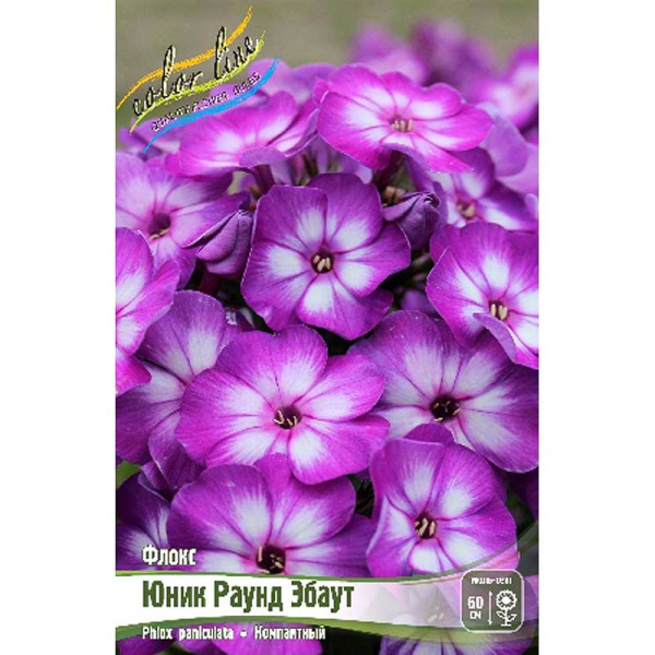 Флокс Юник Раунд Эбаут I 2 шт