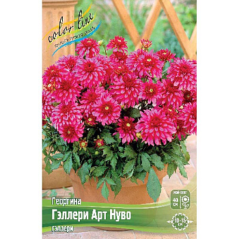 Георгина Гэллери Арт Нуво I 1 шт