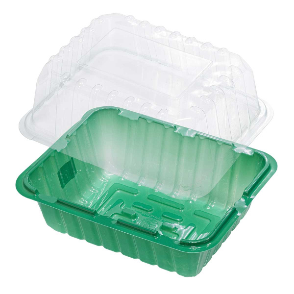 Парник 1 место (21*16*6,5см) х1100 