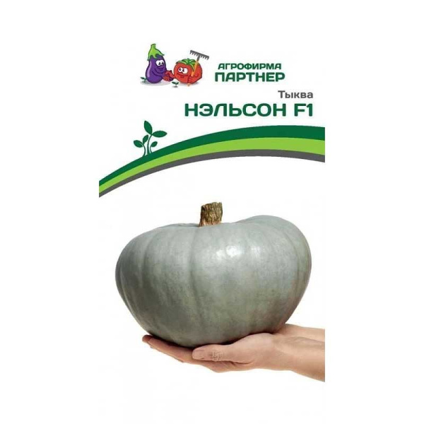 Тыква Нэльсон Партнер Ц