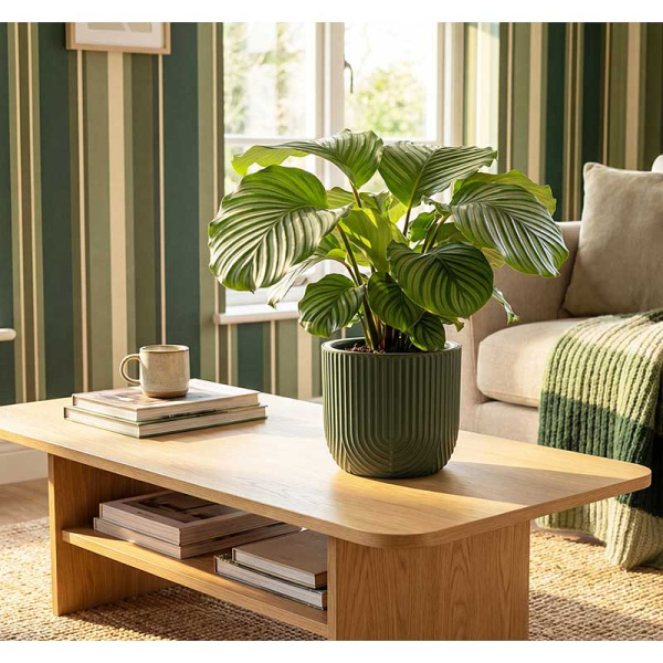 Кашпо РАМОНА D220мм 3,7л со вставкой нефритовый М3262 х8 