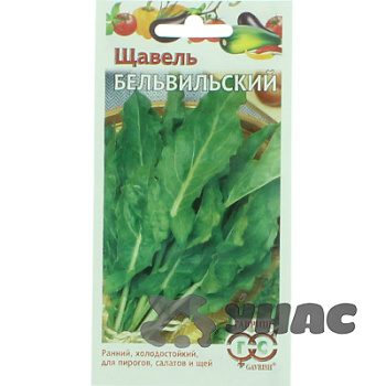 Щавель Бельвильский Гавриш Ц