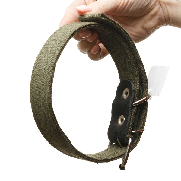 Ошейник брезентовый ширина 30 мм двойной 60 см