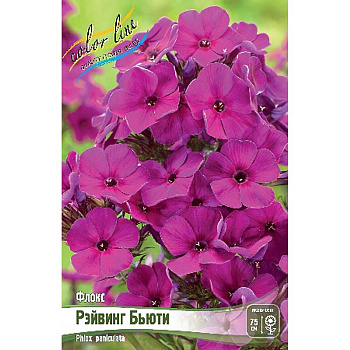 8119 Биг-Пак Флокс Рэйвинг Бьюти I 25 шт