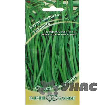 Вигна Графиня Гавриш Ц