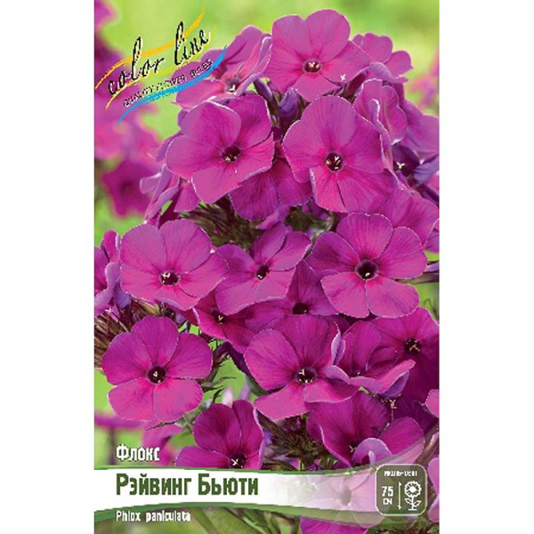 8119 Биг-Пак Флокс Рэйвинг Бьюти I 25 шт