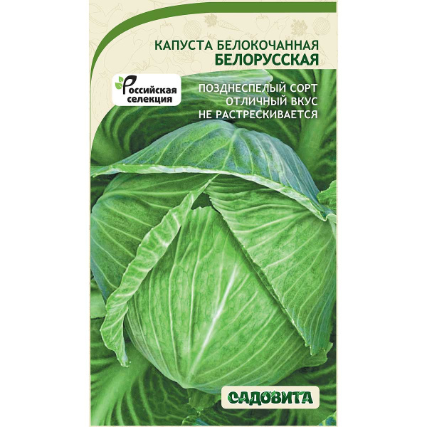 Капуста Белорусская белокочанная 0,5 гр Садовита Ц