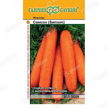 Морковь Самсон Гавриш Ц