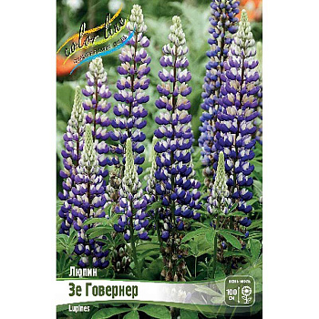 8488 Биг-Пак Люпин Зе Говернер I 50 шт