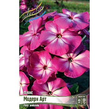 Флокс Модерн Арт I 25 шт Биг-Пак 6919