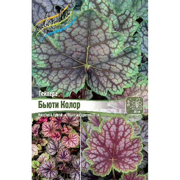 Гейхера Бьюти Колор I 25 шт Биг-пак 1881 