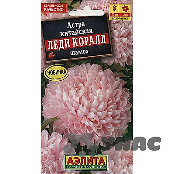 Астра Леди Коралл шамоа Аэлита Ц 