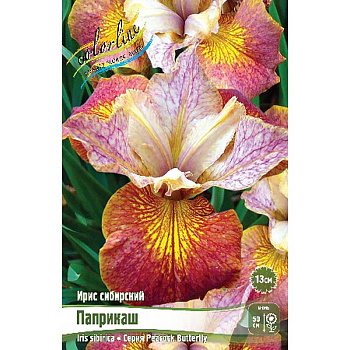 Ирис Сибирский Паприкаш I 1 шт