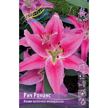 Лилия Рич Романс 12/14 25 шт Биг-Пак 16547 