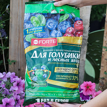 Бона Форте 2,5 кг Голубика и лесные ягоды с кремнием х10