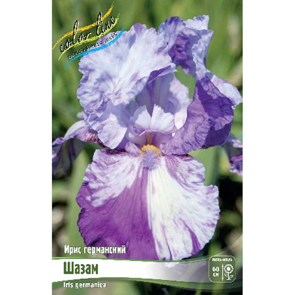 Ирис Германский Шазам I 25 шт Биг-пак 12109 