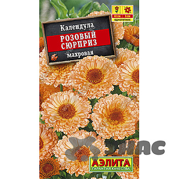 Календула Розовый сюрприз Аэлита Ц 