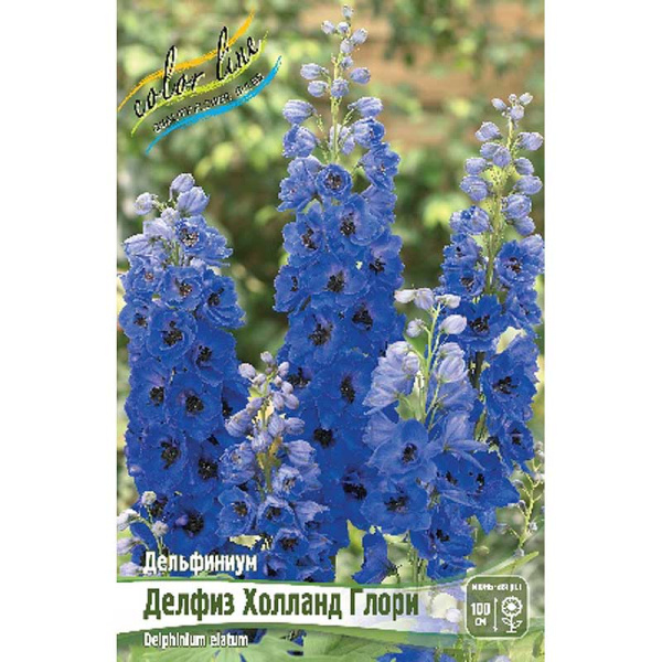 Дельфиниум Делфиз Холланд Глори 3/5 n 1 шт