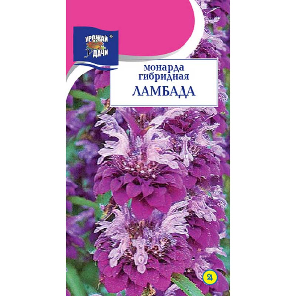 Монарда Ламбада Урожай у дачи Цх10