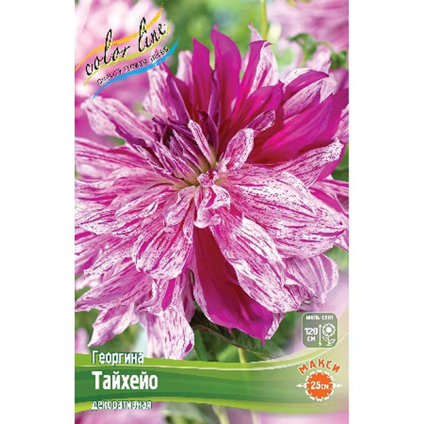 Георгина Тайхейо I 1 шт 
