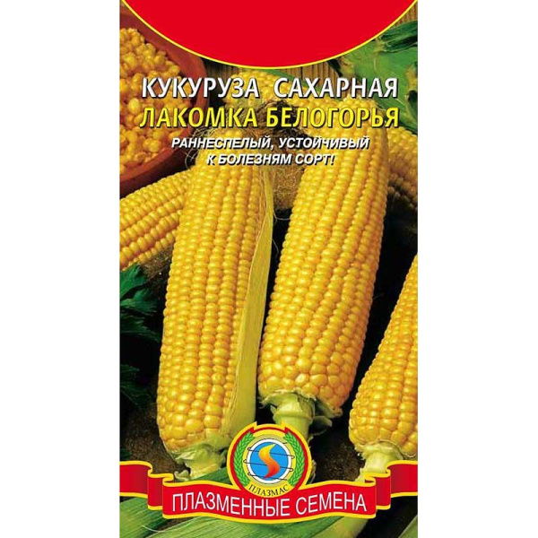 Кукуруза Лакомка Белогорья сахарн. Плазма Ц