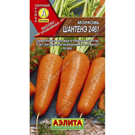 Морковь Шантенэ Аэлита Ц