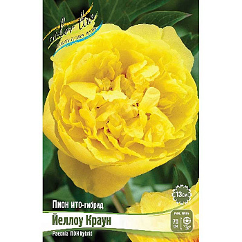 Пион Ито-Гибрид Йеллоу Краун 2/3 n 10 шт Биг-пак 8038 