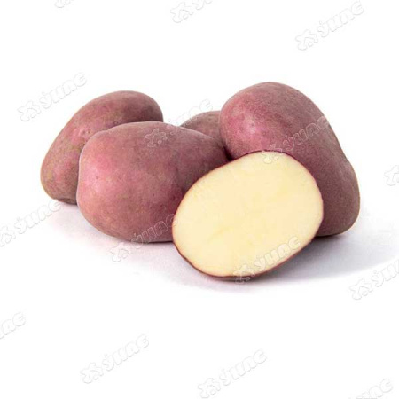 Картофель семенной Фламинго Элита (цена за 25кг+/-5%) Мск