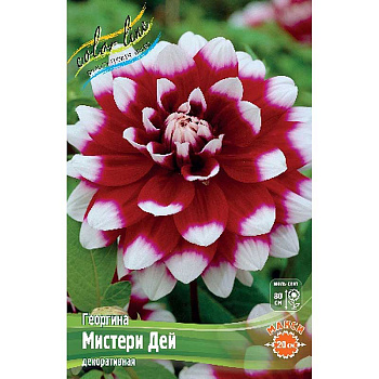 Георгина Мистери Дей I 1 шт 