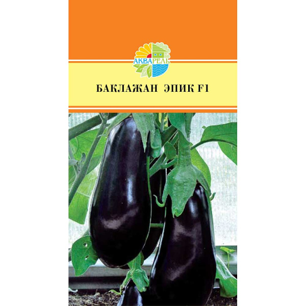 Баклажан Эпик Маринда/Акварель