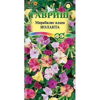 Мирабилис Иоланта Гавриш Ц 