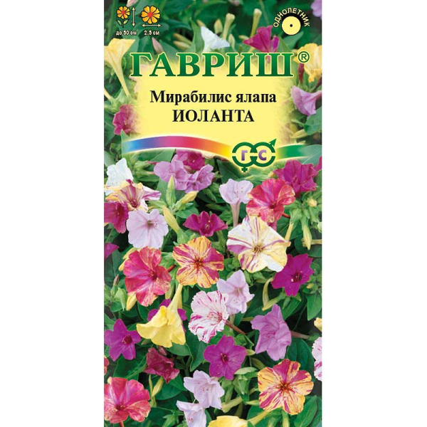 Мирабилис Иоланта Гавриш Ц 