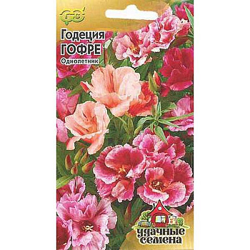 Годеция Гофре Удач сем Гавриш Ц 