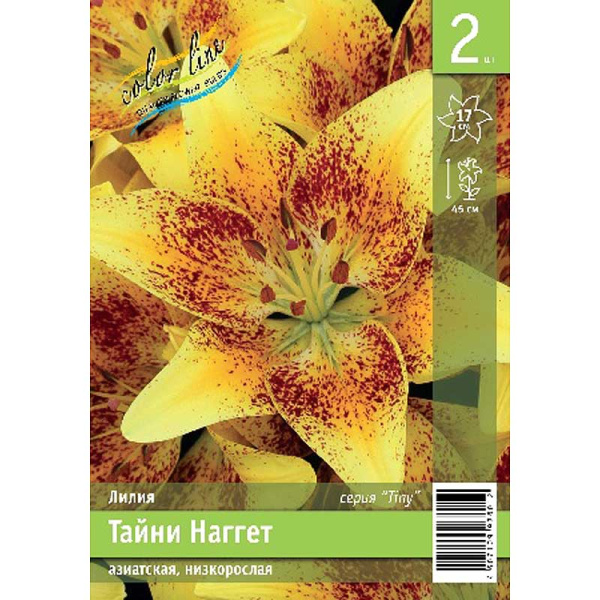 Лилия Тайни Наггет 10/12 2 Эконом шт 