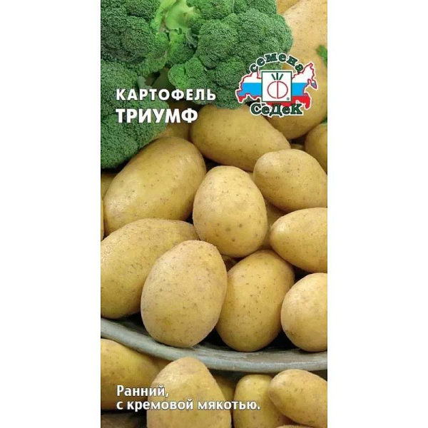 Картофель Триумф 2 Элита (цена за 25кг +-5%) Седек