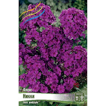 Флокс Никки I 25 шт Биг-Пак 659 