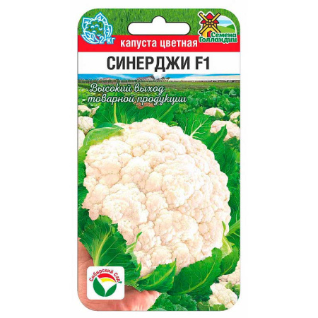 Капуста цветная Синерджи СибСад Ц