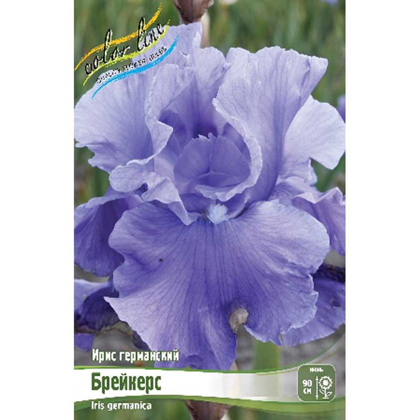 Ирис Германский Брейкерс I 25 шт Биг-пак 12087