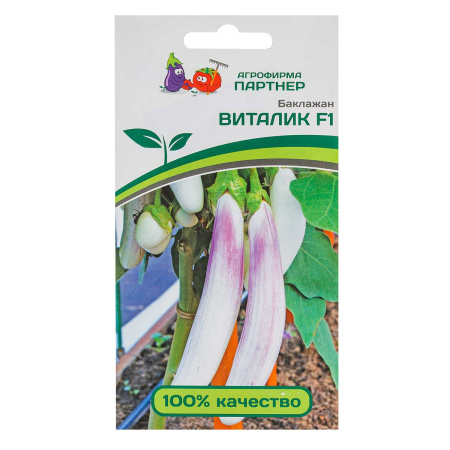 Баклажан Виталик Партнер Ц
