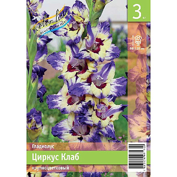 Гладиолус Циркус Клаб 10/12 3 Эконом шт 