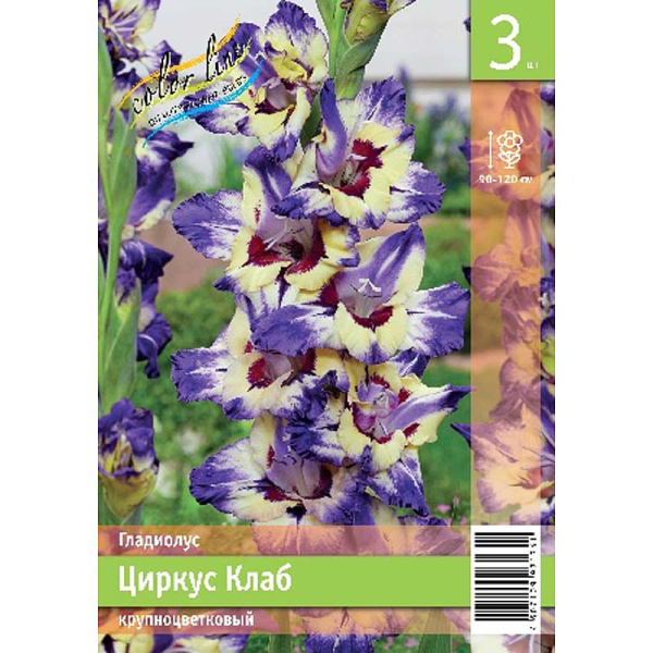 Гладиолус Циркус Клаб 10/12 3 Эконом шт 