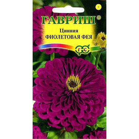 Циния Фиолетовая фея Гавриш Ц 