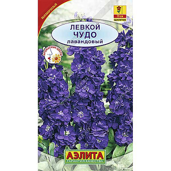Левкой Чудо лавандовый высокоросл. Аэлита Ц 