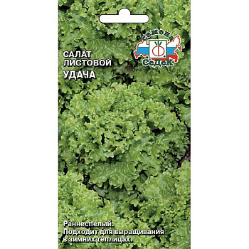 Салат Удача Седек Ц