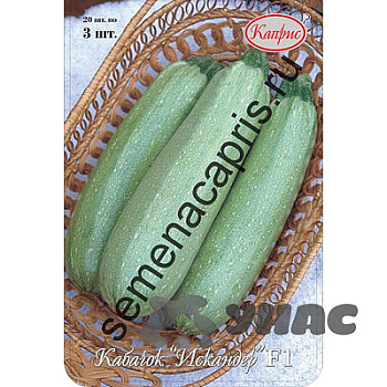 Кабачок Искандер 100шт (Нидерланды) Каприс