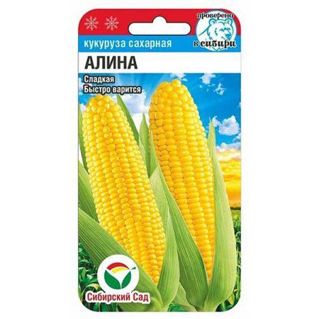 Кукуруза Алина Сибирский Сад Ц