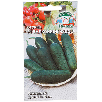 Огурец Балконное чудо 3 Седек