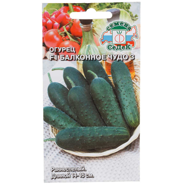Огурец Балконное чудо 3 Седек