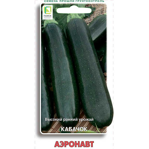 Кабачок Аэронавт Поиск Ц
